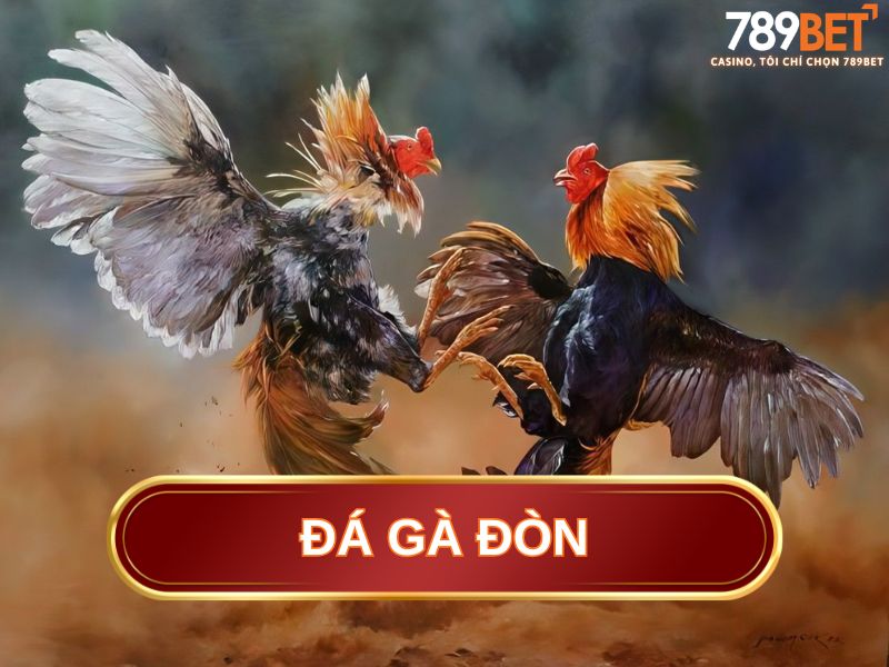 đá gà đòn